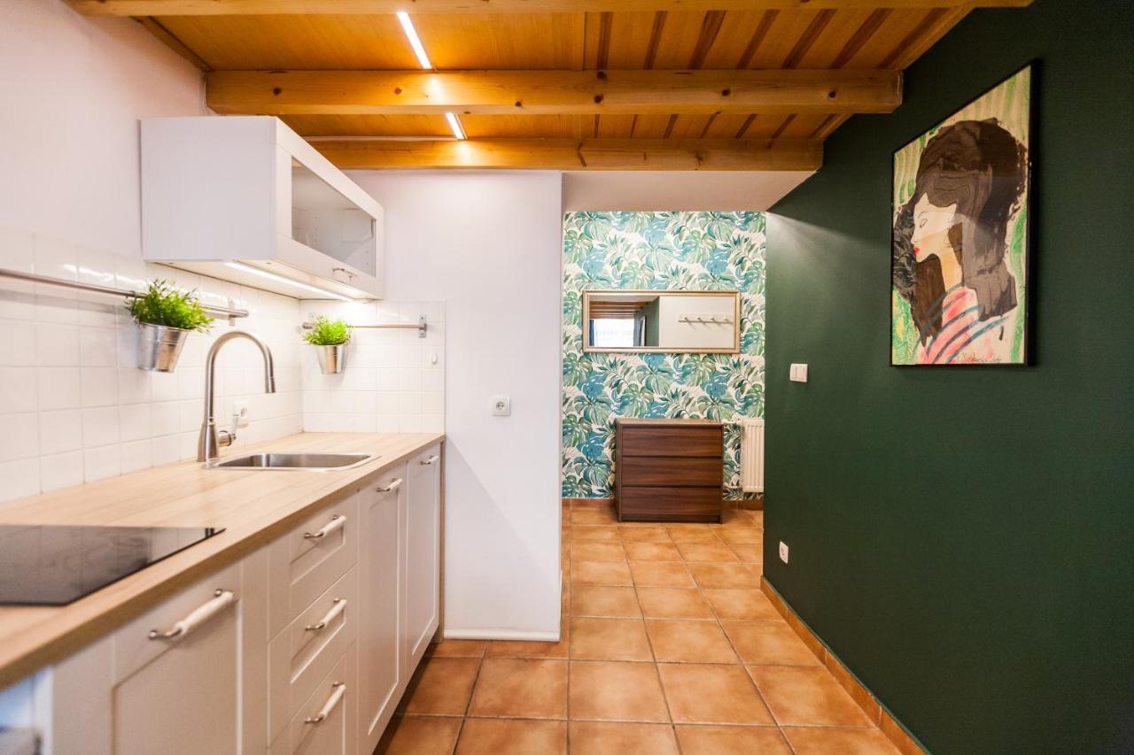 Vintage Szpitalna Apartment Kraków Eksteriør billede